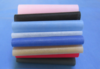 大观涤纶（PET）无纺布是什么