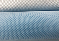 大观(PP)丙纶无纺布跟(PET)涤纶无纺布的区别